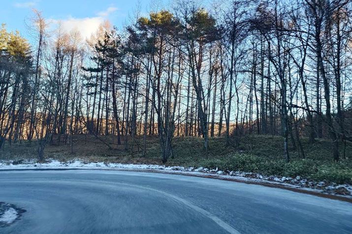 X⑚̂悤Ɍ锒́ȀꍇHʂɎTꂽh~܂łBꂽ̏ꍇA{fB͂قǉ܂񂪁Aԑ͉̂̉̕𗁂т邱ƂɂȂ܂cc