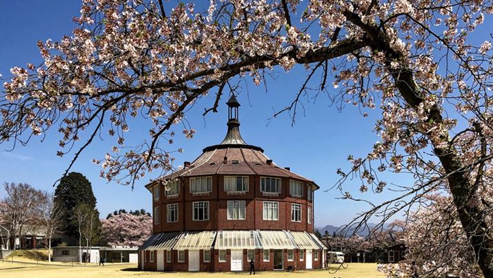 ʌ摜C[Wiۂɂ1,920×1,080fɃTCYPCHDMIoRœʂĂ܂j