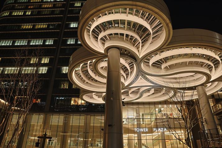 EOS R6 Mark IIARF24-70mm F2.8 L IS USMA24mmAHDR[hFDWDADWF±2AF4AzCgoXF4500KAsN`[X^CFX^_[h