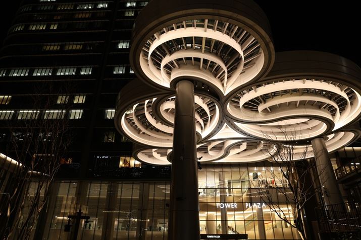 EOS R6 Mark IIARF24-70mm F2.8 L IS USMA24mmAF4A1/40bAISO800A-0.7EVAzCgoXF4500KAsN`[X^CFX^_[h