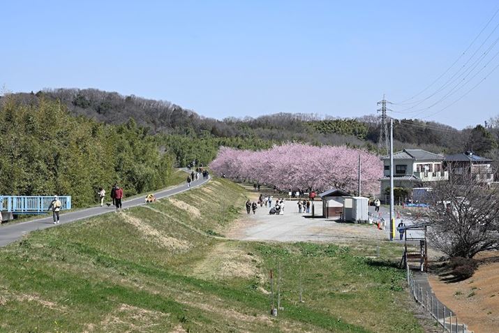 Ŋ̃oX₩10قǂŁAkHɓB炫ւ؂łmFł܂Z 8A35-150mm F/2-2.8 Di III VXDA85mmAF8A1/250bAISO100A+0.3EVAzCgoXFAUTO1AsN`[X^CFAUTO