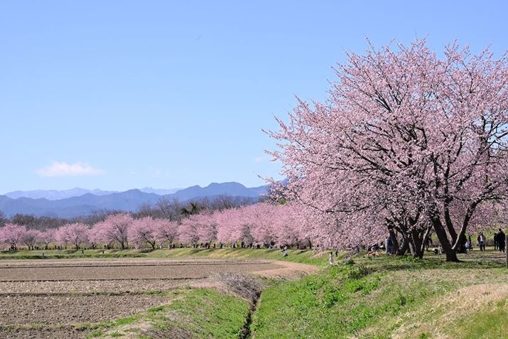 ɒAR]݂ȂA]83mmŁBɂ͉zӐ̉E1.2kmɓnĂ悻200{̈sAĂ܂Z 8A35-150mm F/2-2.8 Di III VXDA83mmAF11A1/100bAISO100A+0.7EVAzCgoXFVi0AM0.75jAsN`[X^CFVIVID