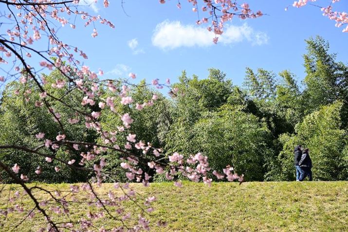 W49mmŁByUl̎płZ 8A35-150mm F/2-2.8 Di III VXDA49mmAF4A1/1250bAISO250A+0.3EVAzCgoXFVAsN`[X^CFVIVID