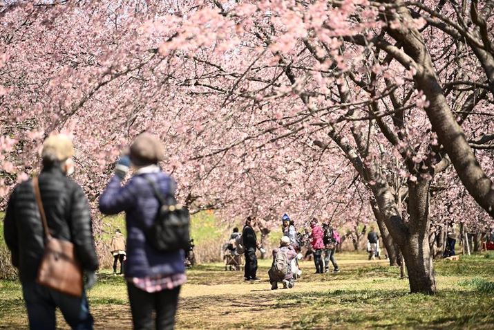][150mmŎBeB؂͖]ŎB̂ɍœKB͖̓JB̉ԌqœĂ܂Z 8A35-150mm F/2-2.8 Di III VXDA150mmAF2.8A1/800bAISO100A+0.7EVAzCgoXFܓVAsN`[X^CFAUTO
