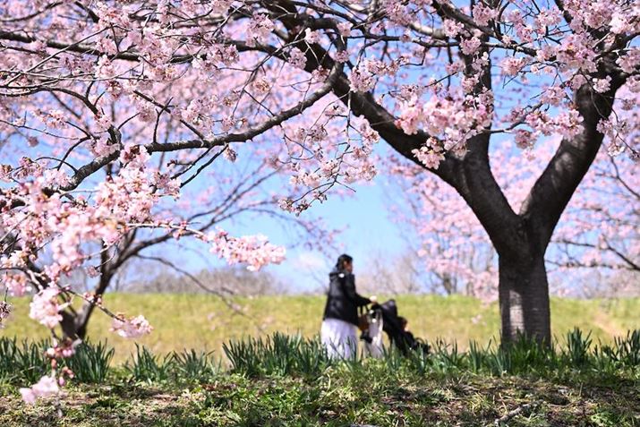 Z 8A35-150mm F/2-2.8 Di III VXDA47mmAF3.2A1/640bAISO100A+1EVAzCgoXFVi0AM1jAsN`[X^CFAUTO