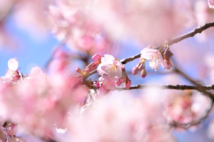 Z 8A35-150mm F/2-2.8 Di III VXDA150mmAF4A1/1600bAISO250A+1.3EVAzCgoXFVi0AM0.25jAsN`[X^CFVIVIDBeʐ^i8256×5504A13.5MBj