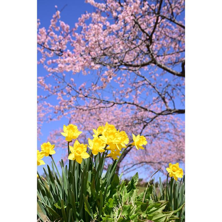 u×XCZvBXCZŎB̂ł͂ȂA邱ƂŁAGߊƋ܂܂BAOAグ鎋_ŎB܂Z 8A35-150mm F/2-2.8 Di III VXDA43mmAF11A1/125bAISO100A+0.7EVAzCgoXFVi0AM0.75jAsN`[X^CFVIVID