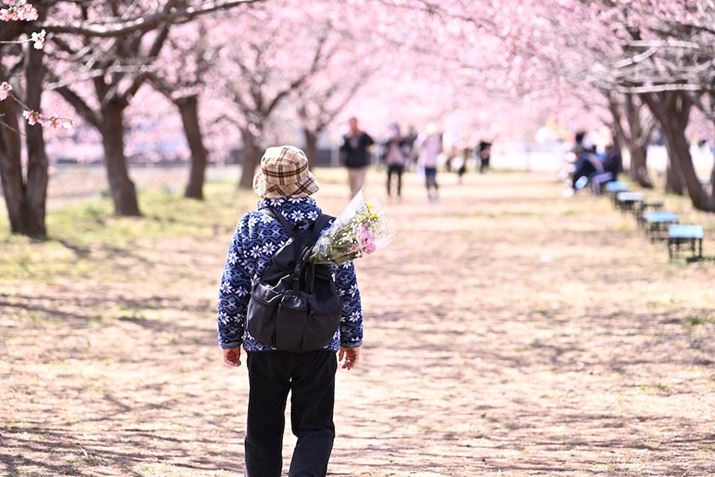 u×pvBbNɉԑĕ΂BwiɁAGɂȂ܂Z 8A35-150mm F/2-2.8 Di III VXDA150mmAF4A1/160bAISO100A+0.7EVAzCgoXFVi0AM1.5jAsN`[X^CFAUTO