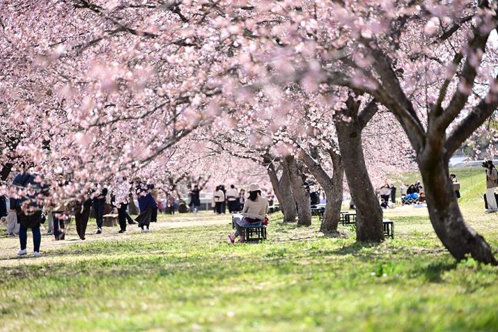 u×qvB][Ń_Ci~bNȈkʂ𗘗pȂBeBkH͎̍؂Ȃ̂ŁAwႢ̂IłZ 8A35-150mm F/2-2.8 Di III VXDA150mmAF2.8A1/1250bAISO250A+1EVAzCgoXFVAsN`[X^CFVIVID