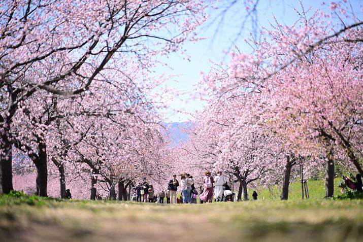 u×qvB]ɂ鈳kʂ𗘗p̂łAnʂꂷ̃[|WV_܂BJF2.8ŎB邱ƂŁAnʂőO{P܂Ă܂Z 8A35-150mm F/2-2.8 Di III VXDA150mmAF2.8A1/800bAISO100A+1.3EVAzCgoXFVi0AM0.75jAsN`[X^CFVIVID