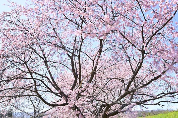 }ᑬŃuĂ݂܂B̋͂̂JbgBeł܂Z 8A35-150mm F/2-2.8 Di III VXDA35mmA}jAIoAF16A1/15bAISO64AzCgoXFVi0AM0.25jAsN`[X^CFVIVID