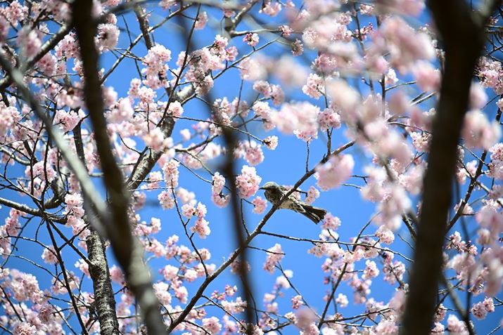 Z 8A35-150mm F/2-2.8 Di III VXDA150mmAF2.8A1/800bAISO100A+1EVAzCgoXFRAUTOAsN`[X^CFVIVID