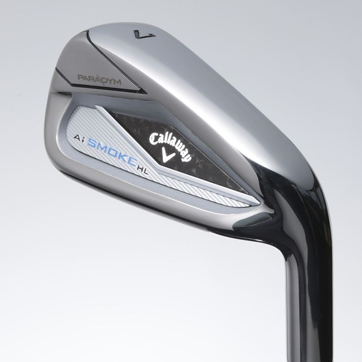 uAiX[N ACAvƂ́A኱fUCقȂ܂B{fB\AuAi X[N ACAv\Ȃ̂ɑ΂AuHLv̓LreB\ł