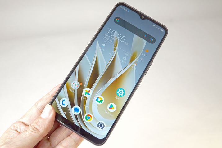 育ȉi͂́unubia IvyvBCoƔׂĂ̗DʐЉ悤