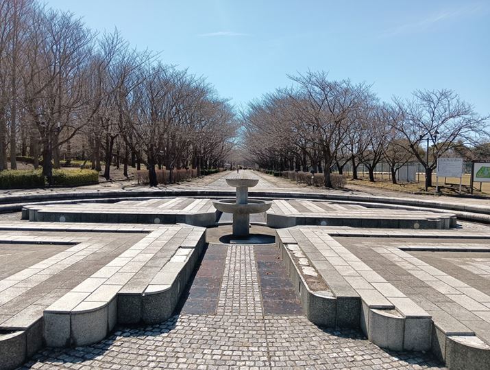 ̗lqB̋͗}ĂBi̕؂̎}g傷ƁAV[vlXɂ֊sɉ肪ڗ