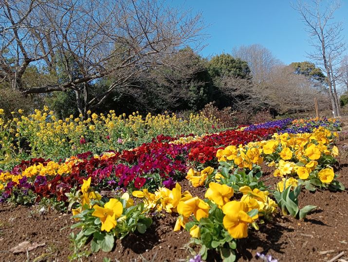 ԔBeBɒ[ȐF̌֒͂ȂAfȎdオ肾