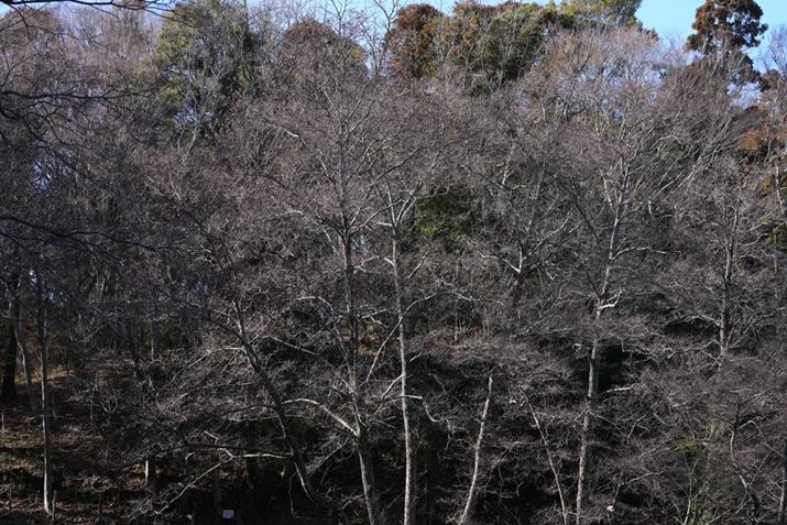 7R VAFE 70-200mm F2.8 GM OSS IIA70mmAISO100AF2.8A1/640bAzCgoXFI[gANGCeBubNFSTBeʐ^i9504×6336A61.1MBj