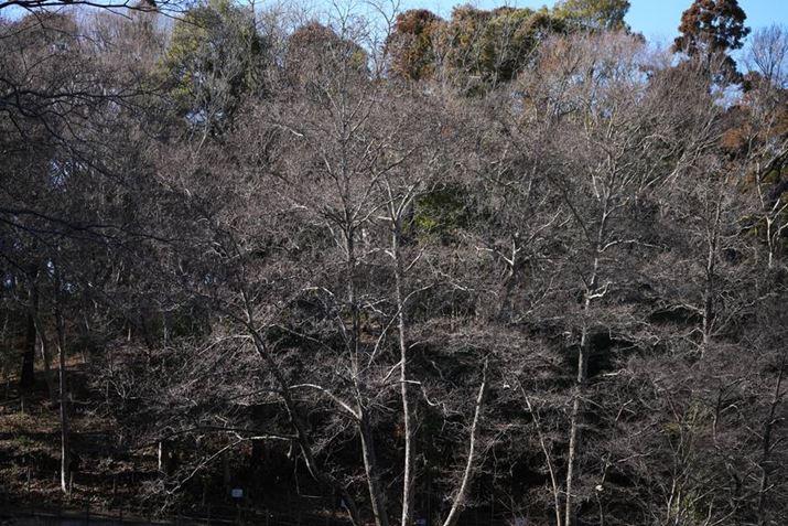 7R VA70-200mm F2.8 DG DN OSA70mmAISO100AF2.8A1/640bAzCgoXFI[gANGCeBubNFSTBeʐ^i9504×6336A56.0MBj