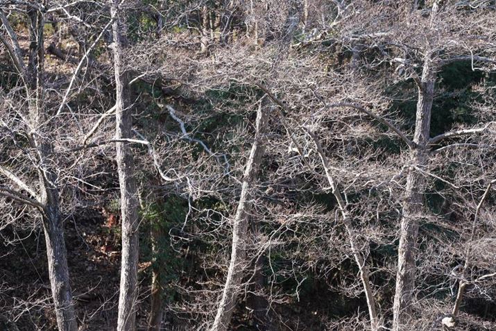 7R VAFE 70-200mm F2.8 GM OSS IIA200mmAISO100AF2.8A1/200bAzCgoXFI[gANGCeBubNFSTBeʐ^i9504×6336A55.6MBj