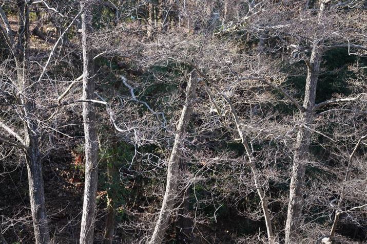 7R VA70-200mm F2.8 DG DN OSA200mmAISO100AF2.8A1/200bAzCgoXFI[gANGCeBubNFSTBeʐ^i9504×6336A58.8MBj