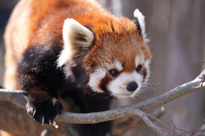 7R VA70-200mm F2.8 DG DN OSA200mmAISO100AF2.8A1/250bAzCgoXFI[gANGCeBubNFSTBeʐ^i9504×6336A35.6MBj