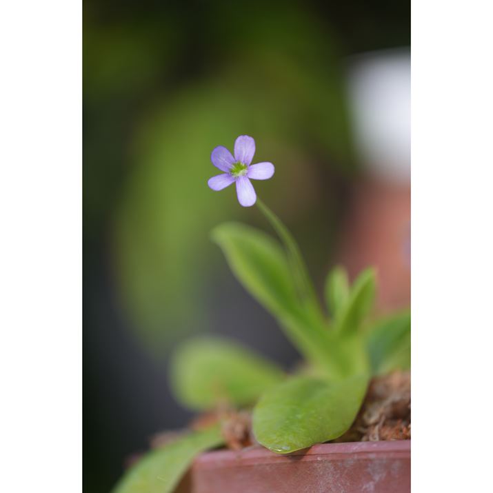 7R VA70-200mm F2.8 DG DN OSA200mmAISO100AF2.8A1/60bAzCgoXFI[gANGCeBubNFSTBeʐ^i6336×9504A32.9MBj