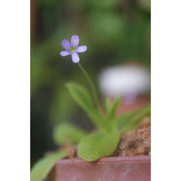 7R VAFE 70-200mm F2.8 GM OSS IIA70mmAISO100AF2.8A1/60bAzCgoXFI[gANGCeBubNFSTBeʐ^i6336×9504A33.0MBj