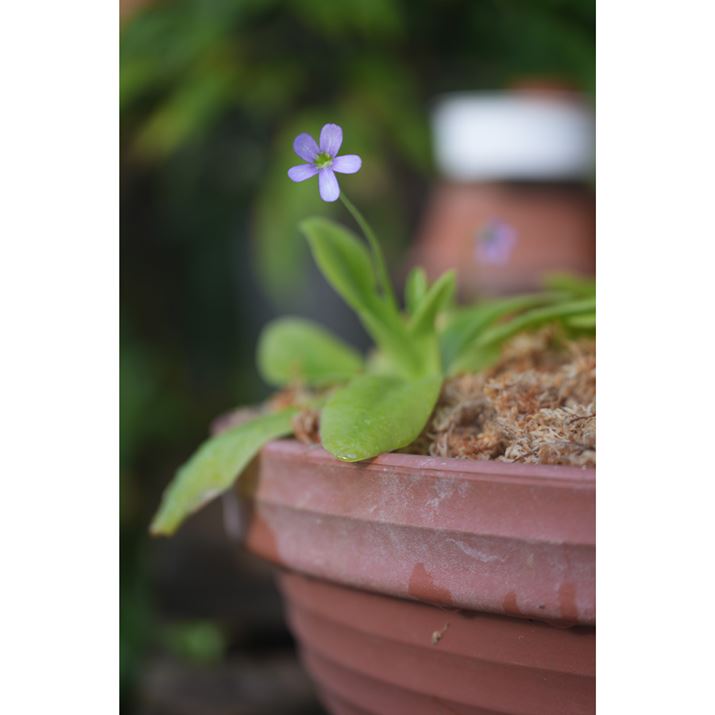 7R VA70-200mm F2.8 DG DN OSA70mmAISO100AF2.8A1/60bAzCgoXFI[gANGCeBubNFSTBeʐ^i6336×9504A33.2MBj