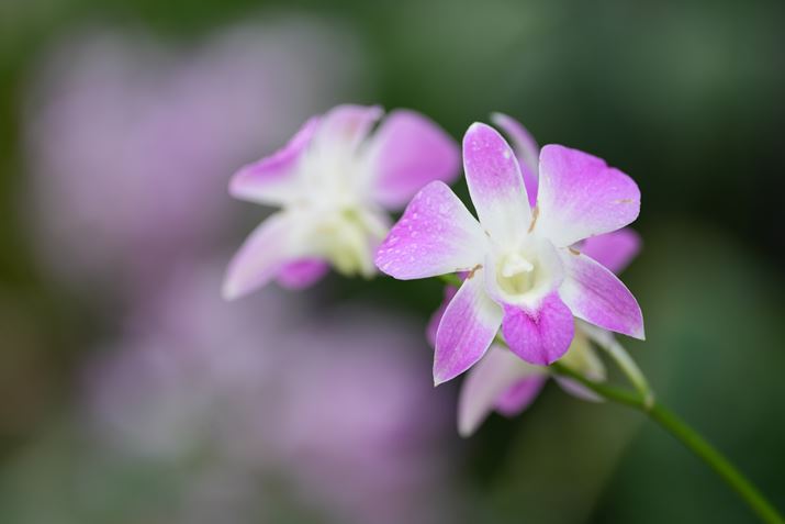 7R VA70-200mm F2.8 DG DN OSA200mmAISO400AF2.8A1/125bAzCgoXFI[gANGCeBubNFSTBeʐ^i9504×6336A34.2MBj