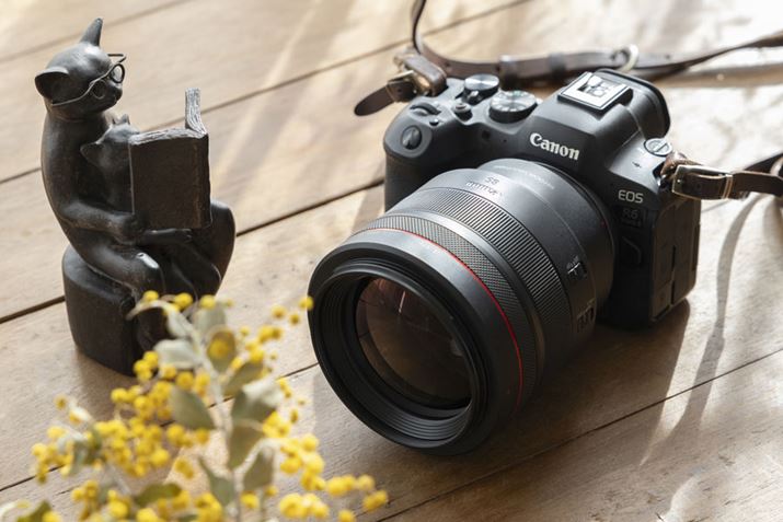 tTCY~[XuEOS R6 Mark IIvƑaE]YuRF85mm F1.2 L USM DSv̑gݍ킹