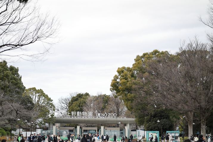 ςȂ̓ɏzbƂ܂EOS R6 Mark IIARF85mm F1.2 L USM DSAF1.2A1/1250bAISO100A+1.0EVAsN`[X^CFX^_[hAzCgoXFI[gARAW