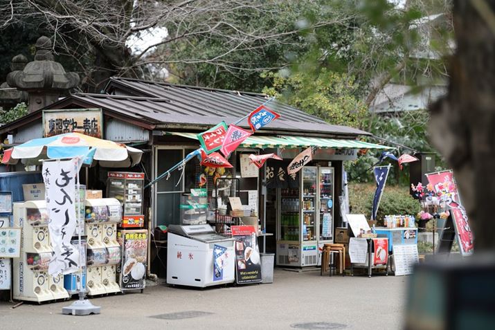 쓌Ƌ{̔X͌EOS R6 Mark IIARF85mm F1.2 L USM DSAF1.2A1/250bAISO100A+0.3EVAsN`[X^CFX^_[hAzCgoXFI[gARAW