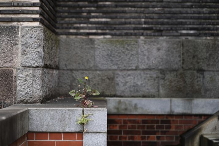 lԂA厖łEOS R6 Mark IIARF85mm F1.2 L USM DSAF1.2A1/400bAISO100A-0.7EVAsN`[X^CFX^_[hAzCgoXFI[gARAW