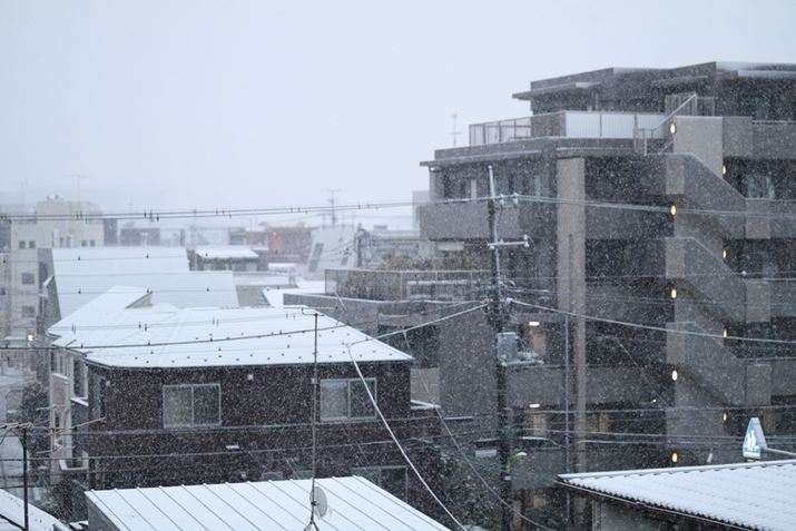 ͉̓zꂽ̂悤ɐÂEOS R6 Mark IIARF85mm F1.2 L USM DSAF1.2A1/125bAISO200A+0.3EVAsN`[X^CFX^_[hAzCgoXFI[gARAW