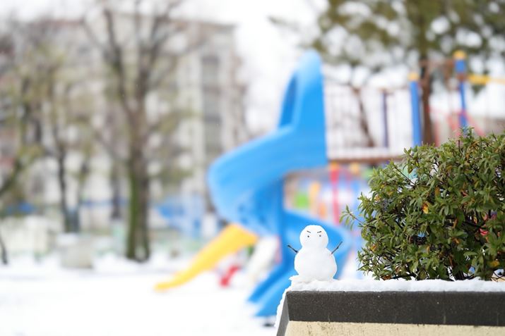 ʓIႾEOS R6 Mark IIARF85mm F1.2 L USM DSAF1.2A1/640bAISO100A+1.7EVAsN`[X^CFX^_[hAzCgoXFI[gARAW