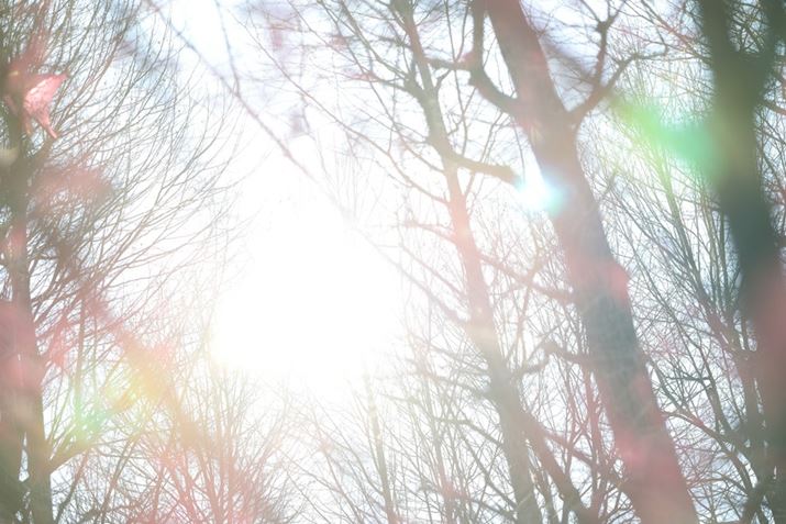 EOS R6 Mark IIARF85mm F1.2 L USM DSAF1.2A1/1250bAISO100A+2.0EVAsN`[X^CFX^_[hAzCgoXFI[gARAW