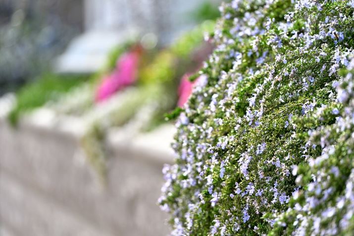 Z 8ANIKKOR Z 28-400mm f/4-8 VRA400mmAF8A1/800bAISO560A+0.7EVAWBFI[g0AsN`[Rg[F\o[iKpx 100%jAANeBuD-CeBOF苭1Beʐ^i8256×5504A25.5MBj