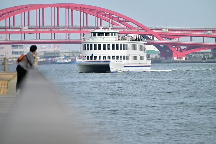 Z 8ANIKKOR Z 28-400mm f/4-8 VRA400mmAF8A1/800bAISO200A+0.7EVAWBFI[g0AsN`[Rg[F\o[iKpx100%jAANeBuD-CeBOF苭2Beʐ^i8256×5504A20.5MBj