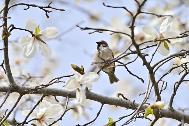 Z 8ANIKKOR Z 28-400mm f/4-8 VRA400mmAF8A1/1000bAISO280A+1.0EVAWBFI[g0AsN`[Rg[FiAANeBuD-CeBOF苭2Beʐ^i8256×5504A8.8MBj