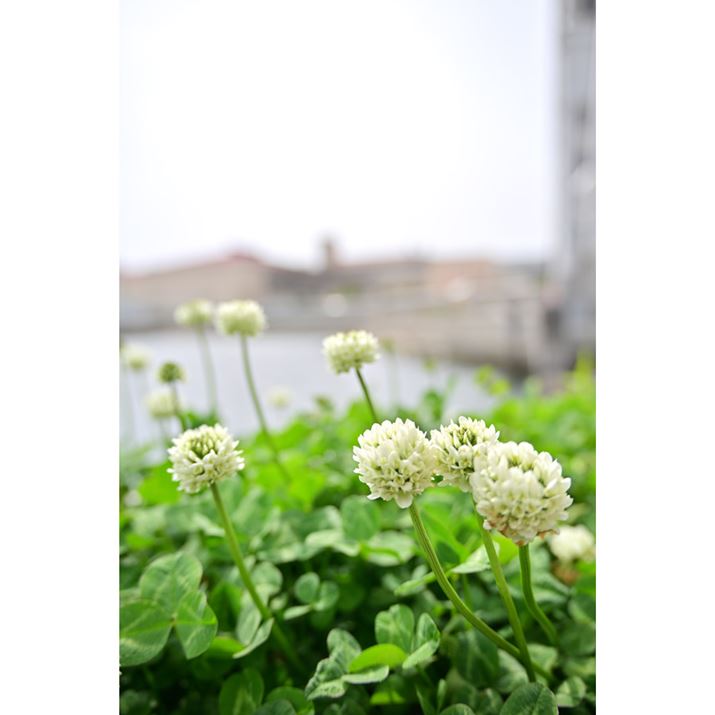 Z 8ANIKKOR Z 28-400mm f/4-8 VRA28mmAF4A1/400bAISO64A+0.7EVAWBFI[g0AsN`[Rg[FiAANeBuD-CeBOF苭2Beʐ^i5504×8256A12.1MBj