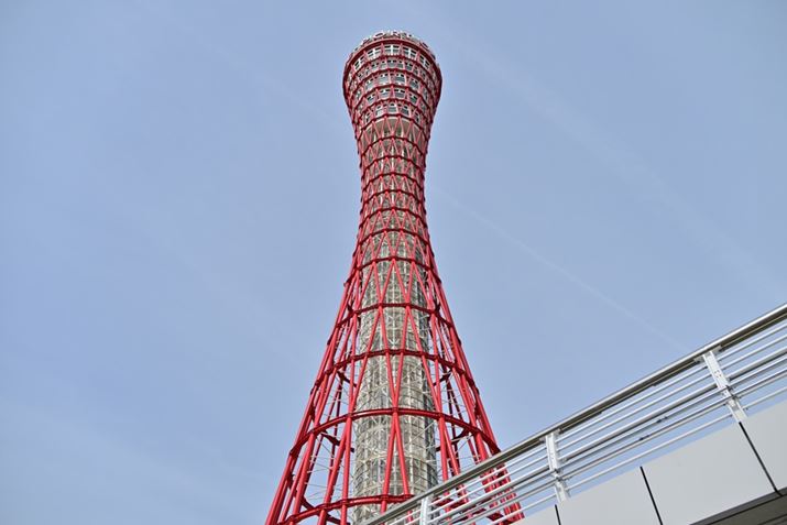 Z 8ANIKKOR Z 28-400mm f/4-8 VRA28mmAF5.6A1/800bAISO64A+0.7EVAWBFI[g0AsN`[Rg[FiAANeBuD-CeBOF苭1Beʐ^i8256×5504A16.8MBj