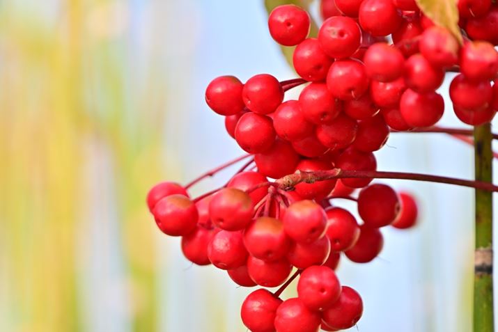 Z 8ANIKKOR Z 28-400mm f/4-8 VRA400mmAF8A1/60bAISO140A+0.7EVAWBFI[g0AsN`[Rg[FiAANeBuD-CeBOF苭2Beʐ^i8256×5504A13.9MBj