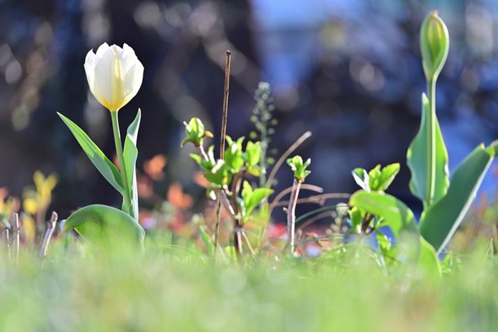 Z 8ANIKKOR Z 28-400mm f/4-8 VRA400mmAF8A1/60bAISO125A+1.0EVAWBFI[g0AsN`[Rg[FiAANeBuD-CeBOFߎBeʐ^i8256×5504A17.8MBj