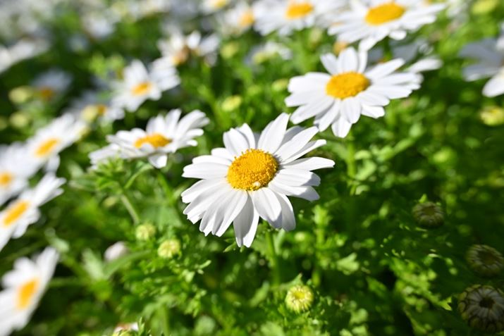 Z 8ANIKKOR Z 28-400mm f/4-8 VRA28mmAF7.1A1/1000bAISO220AWBFI[g0AsN`[Rg[F|bviKpx 30%jAiAANeBuD-CeBOF苭1Beʐ^i8256×5504A19.4MBj