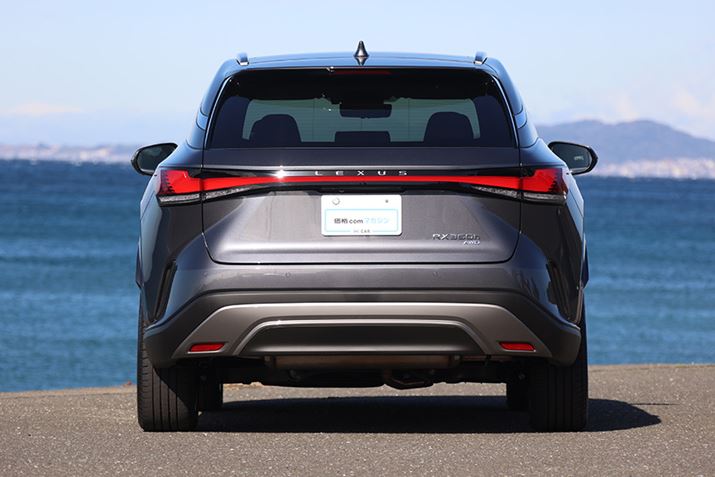 ZԁuNXvuLXvƂ̋ʐ郊Ar[B{fBTCh܂ŉ荞܂LVFCvꕶLEDARrv̏ɁAóuLEXUSvSĂ̂C}hLۂ