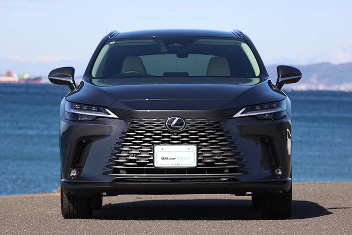 ܂ł́uXshOv烁bLgȂA[܂Ń{fBJ[FƂ邱ƂŃ{fBƃO̗Z}uV[XOvuXsh{fBv܂ƂuRXvB񎎏悵uversion Lvł͕H`̃hbgƂȂ