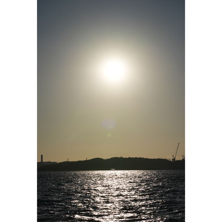 9 IIIAFE 100-400mm F4.5-5.6 GM OSS A100mmAF10A1/5000bAISO250AzCgoXFI[gANGCeBubNFSTBeʐ^i4000×6000A14.5MBj