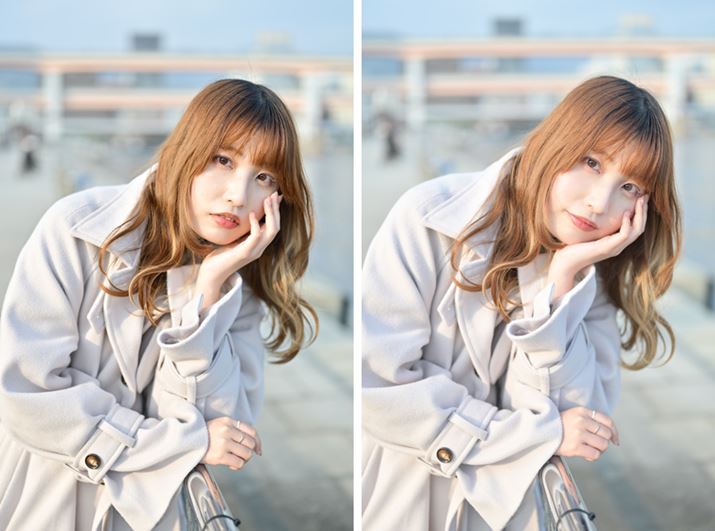 ub`g[|[g[gvAEʏ́u|[g[gvŎBéB̕Ȃǂ̎dオ肪قȂĂ邱Ƃ킩܂