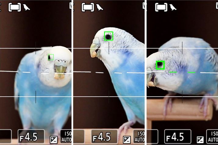 tH[JX|Cgg̑u1vu2vu3v̏ł