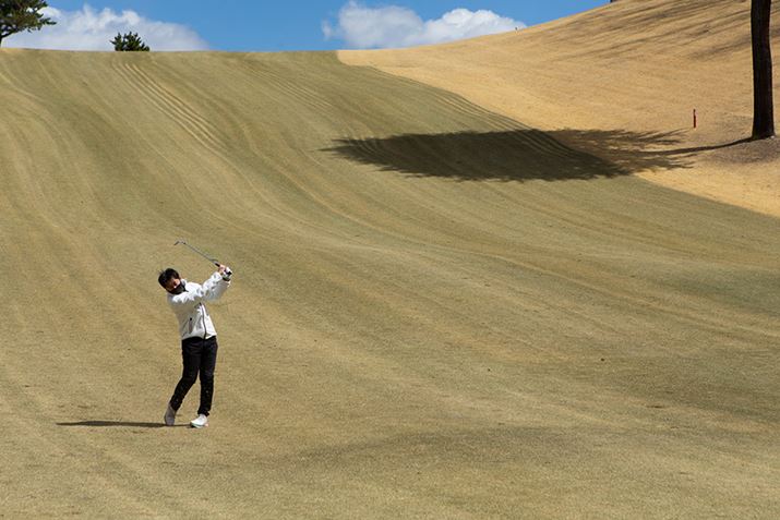 O[܂130[h炢̋eXgBǂ̃{[ƃO[Ŏ~܂܂